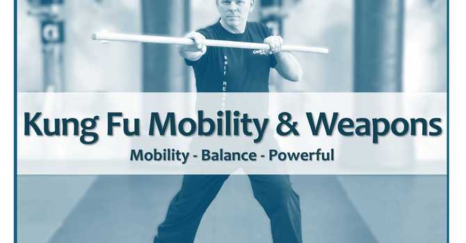 Kung Fu Weapons